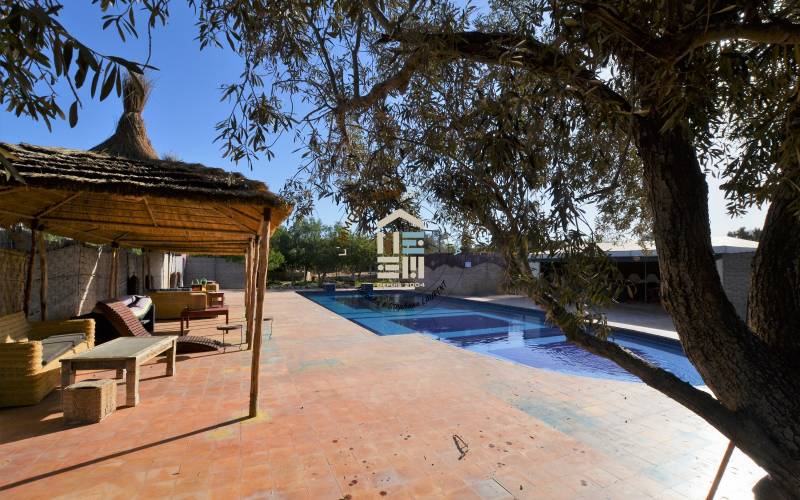 Camping-Caravaning (1)